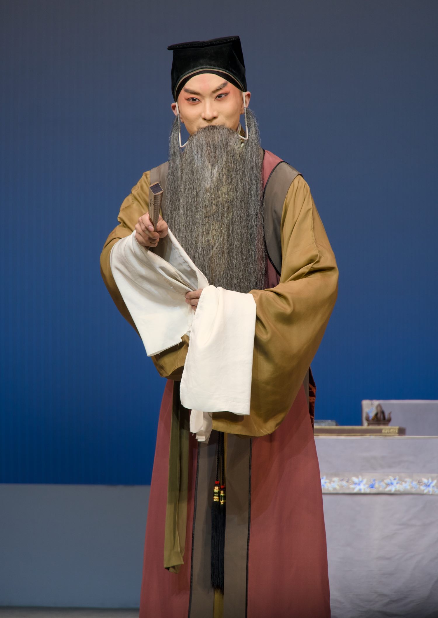 昆曲 牡丹亭 闹学 王苏鹏