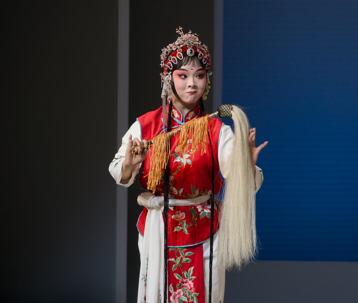 昆曲 牡丹亭 闹学 张唐逍